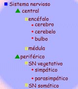 Imagen de un esquema de símbolos según se acaba de describir.