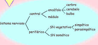 Imagen de un esquema de rayas según se describe en el texto.