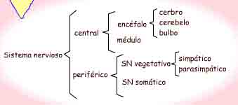 Imagen de un esquema de llaves típico según se describe en el texto.