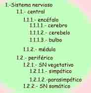 Imagen de un esquema de números según se describe en el texto