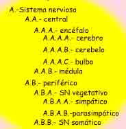 Imagen de un esquema de letras según acabamos de describir en el texto.
