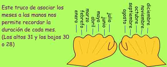 Imagen que ayuda a recordar la duración de los meses fijándose en los nudillos de las manos.